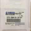 Chrome Master Cylinder pro Yamaha