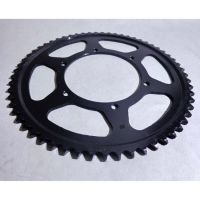 Rozeta 60 Zubů APRILIA RS 125 / TUONO 125