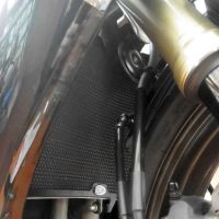 Ochranná mřížka chladiče černá - Kawasaki ZX10-R '06-'07