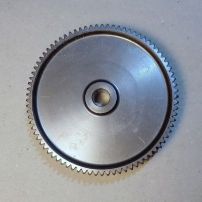 Ozubené soukolí primárního převodu Z81/15 APRILIA PEGASO 600