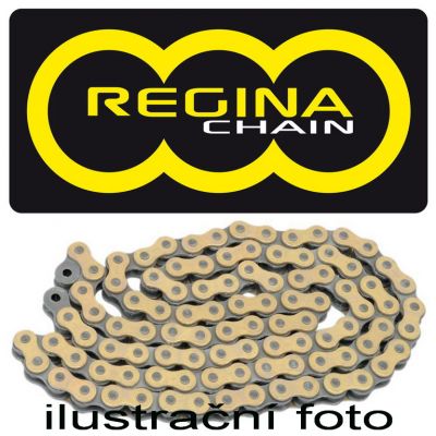 Rozvodový řetěz Regina pro Honda CB 600 F Hornet, CBF 600, CBR 600 F, CBR 600 RR, VT 500